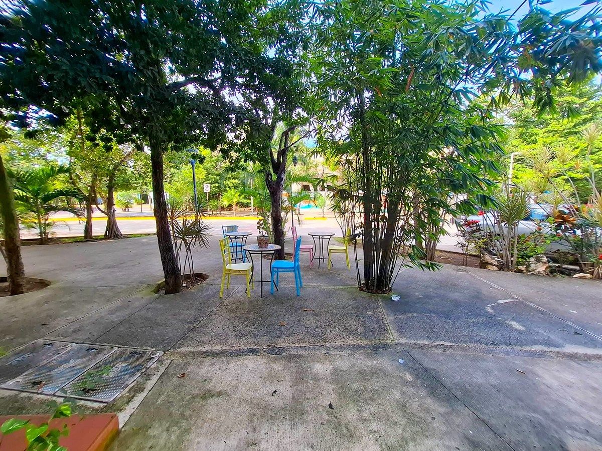 Local comercial en Aldea Zamá, Tulum, foto 5 de 16