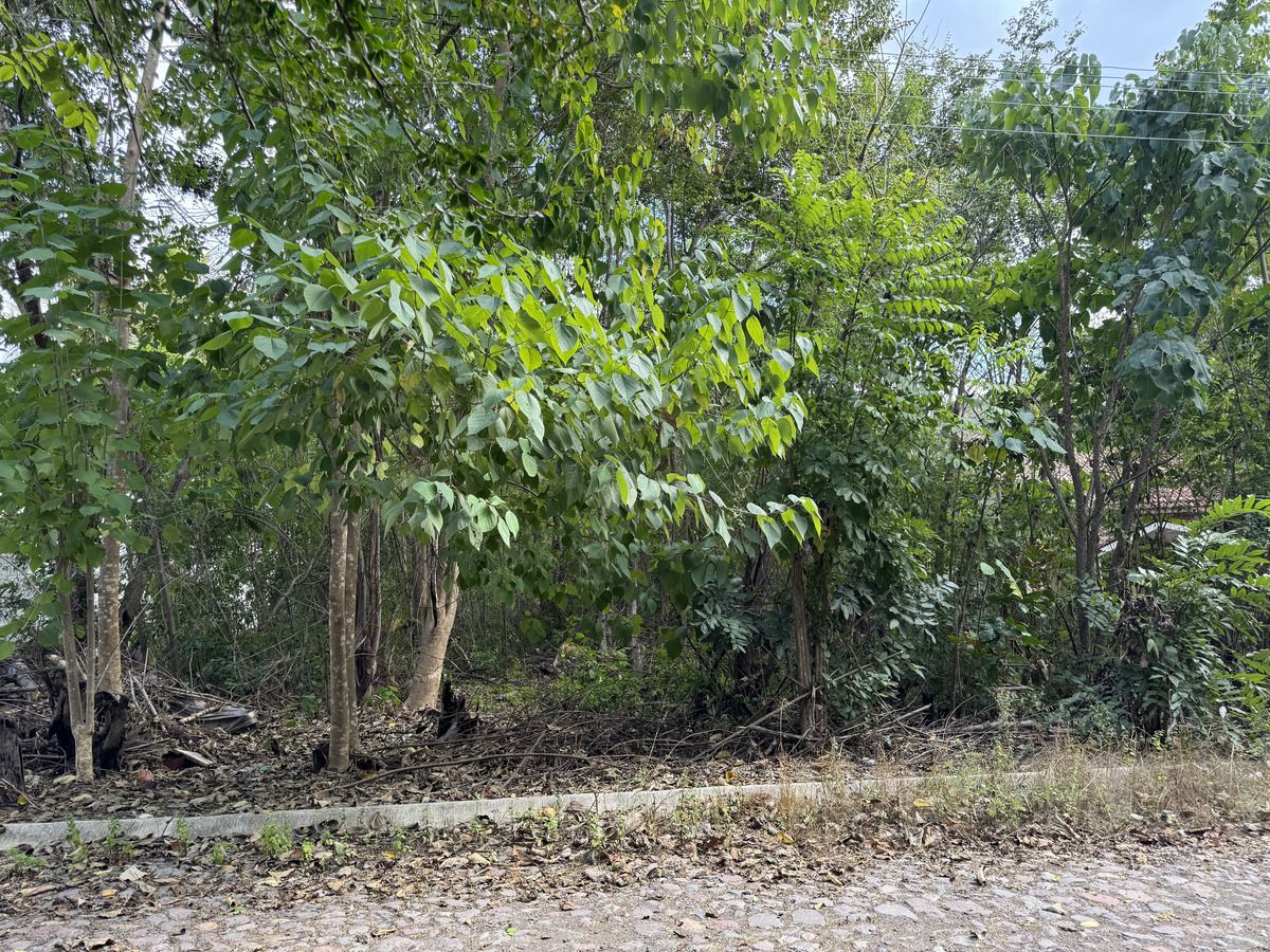 FRENTE DEL TERRENO