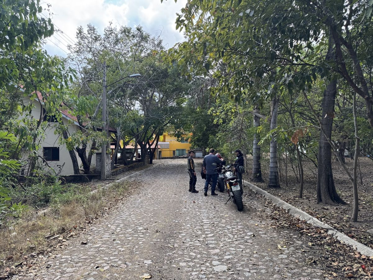 Imagen 7 de 7
