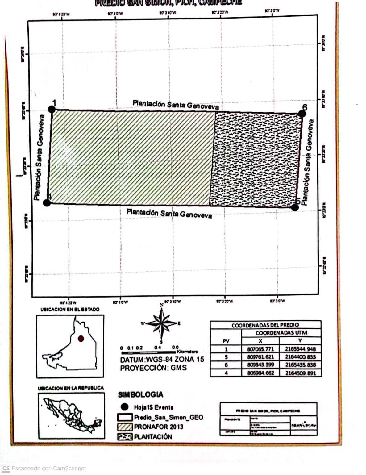 TERRENO DE 288 HA EN CAMPECHE - foto 1