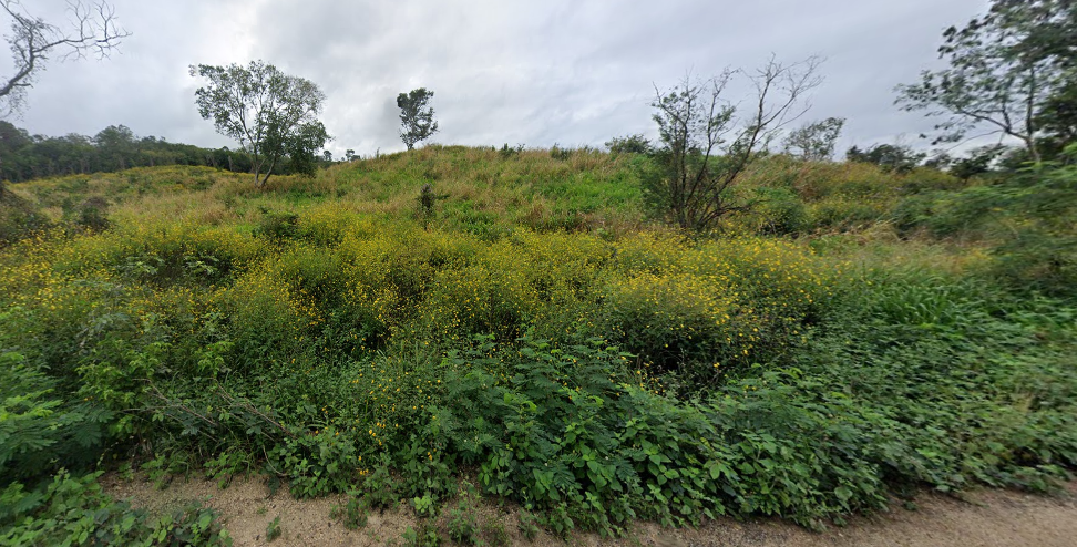 TERRENO DE 288 HA EN CAMPECHE - foto 2