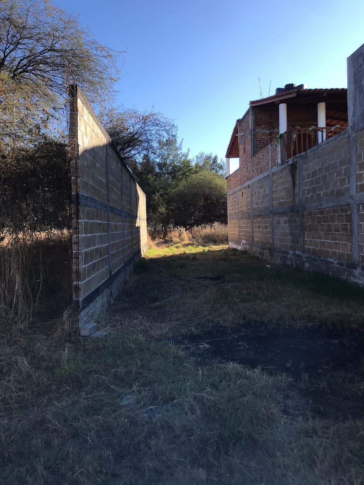 33 de 44