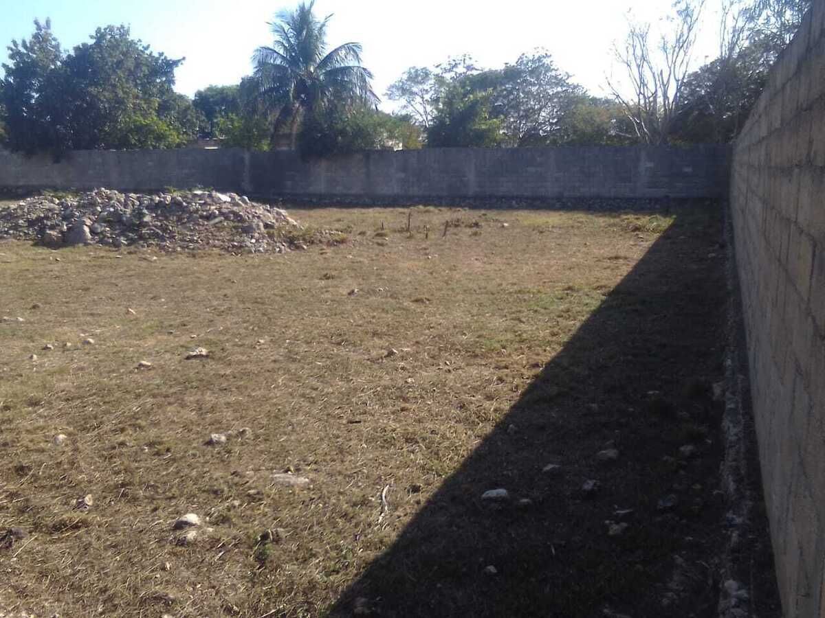 Imagen 2 de 10