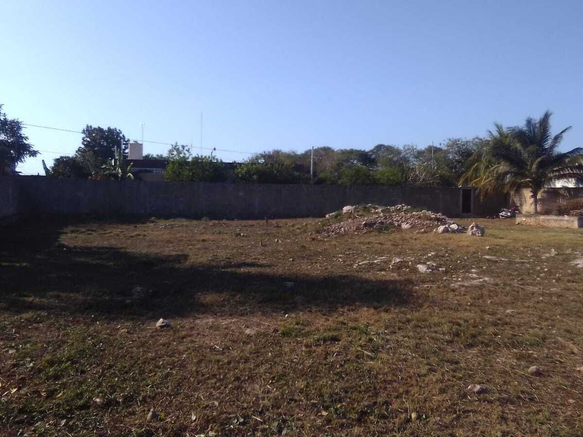 Imagen 7 de 10
