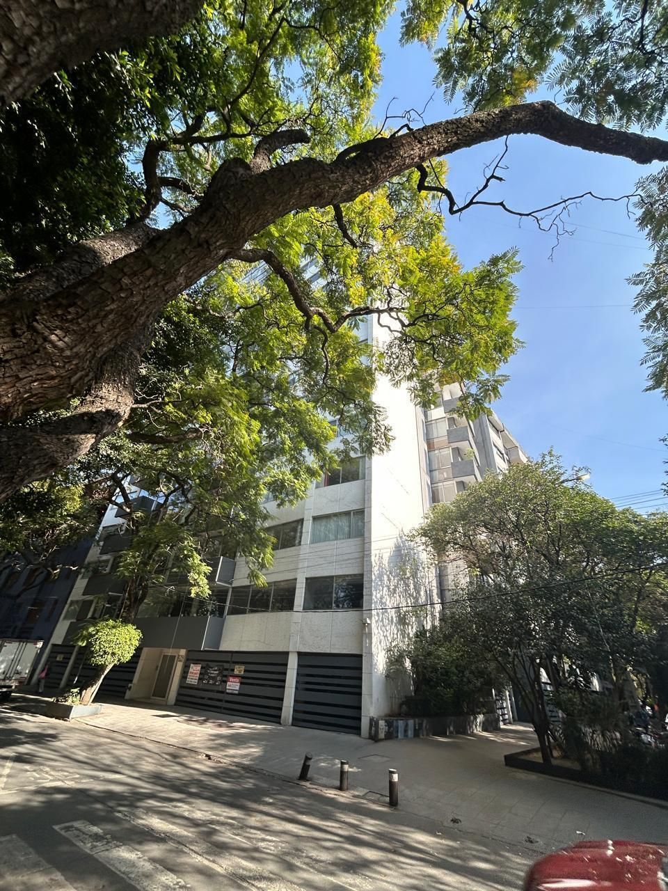 1 de 12