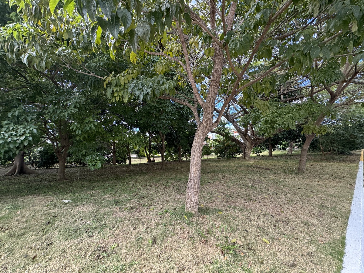 5 de 5