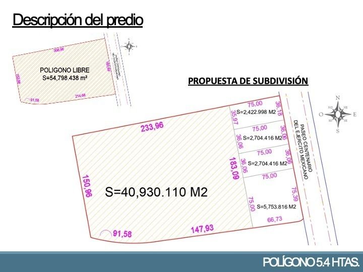 8 de 24