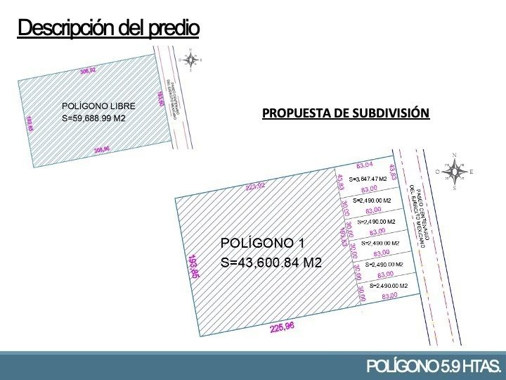 21 de 24