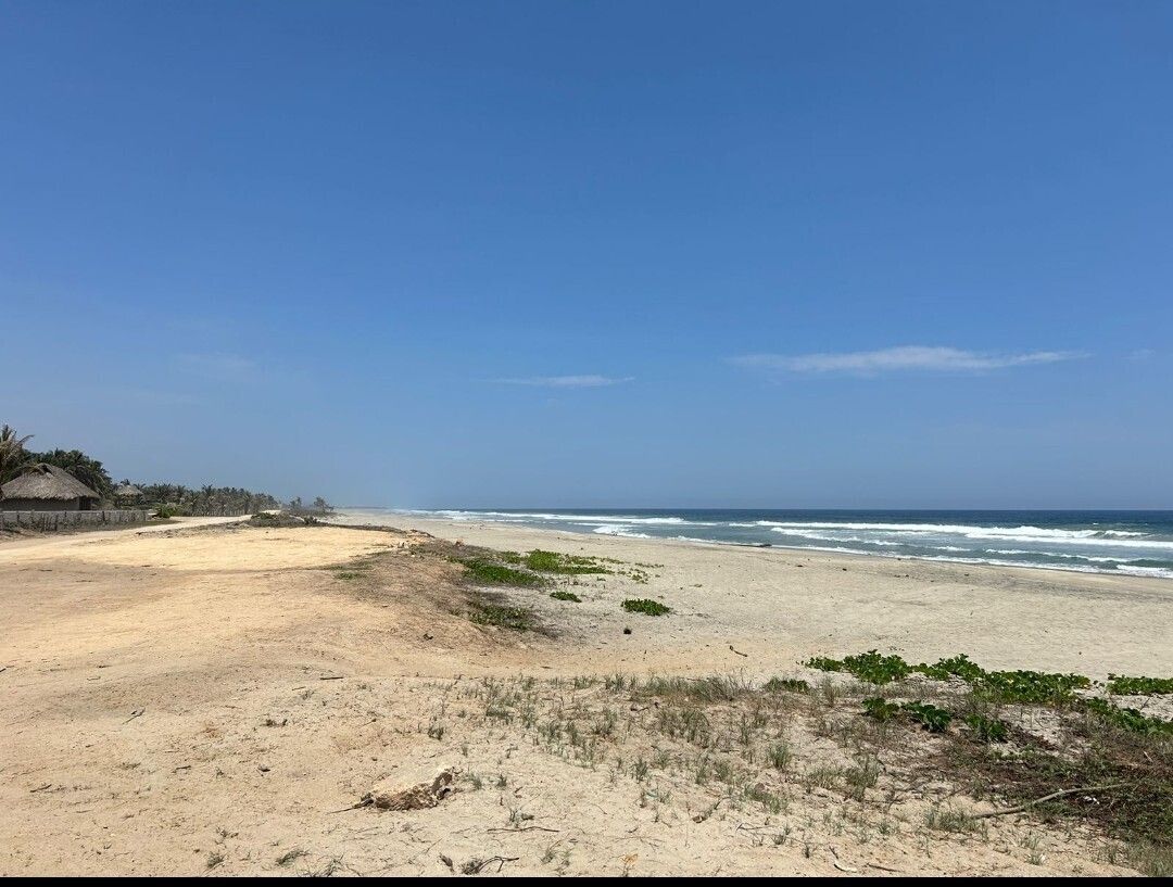 TERRENOS VENTA EN TOMATAL A 15 MIN SUPER CARRETERA PUERTO ESCONDIDO -OAXACA - foto 2