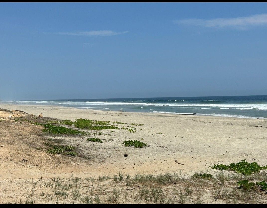 TERRENOS VENTA EN TOMATAL A 15 MIN SUPER CARRETERA PUERTO ESCONDIDO -OAXACA - foto 4