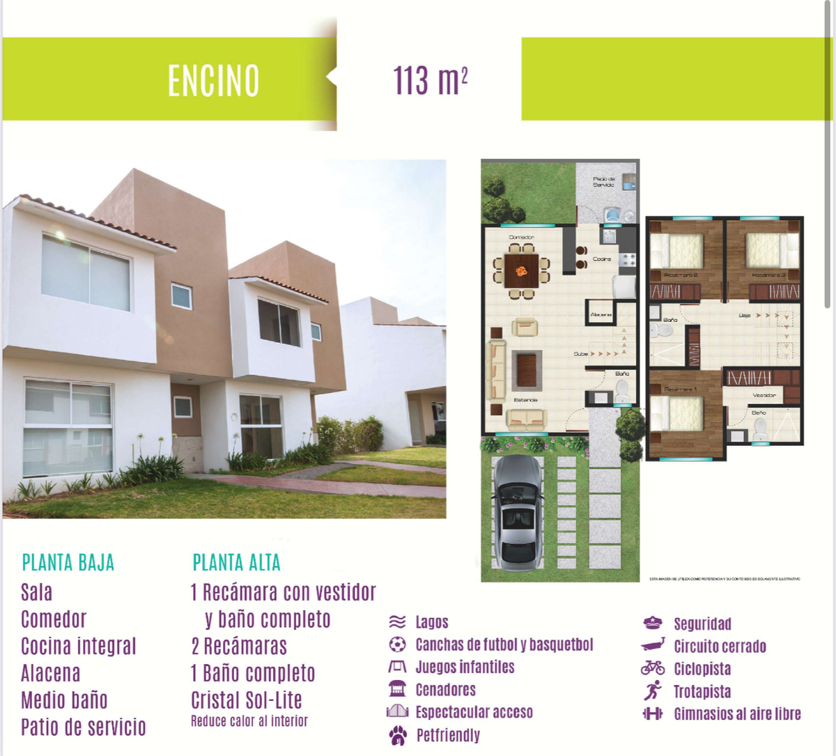 5 de 13: ENCINO