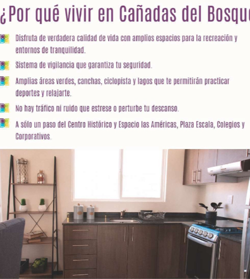 11 de 13