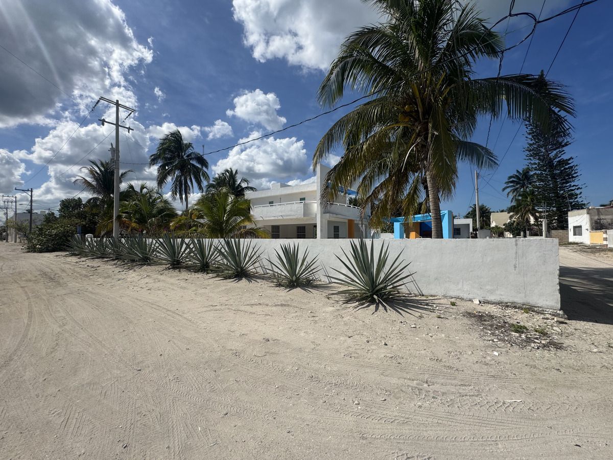 3 de 24
