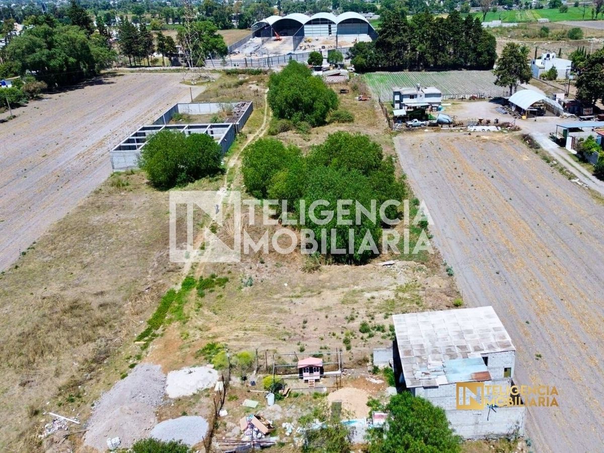 Imagen 7 de 10