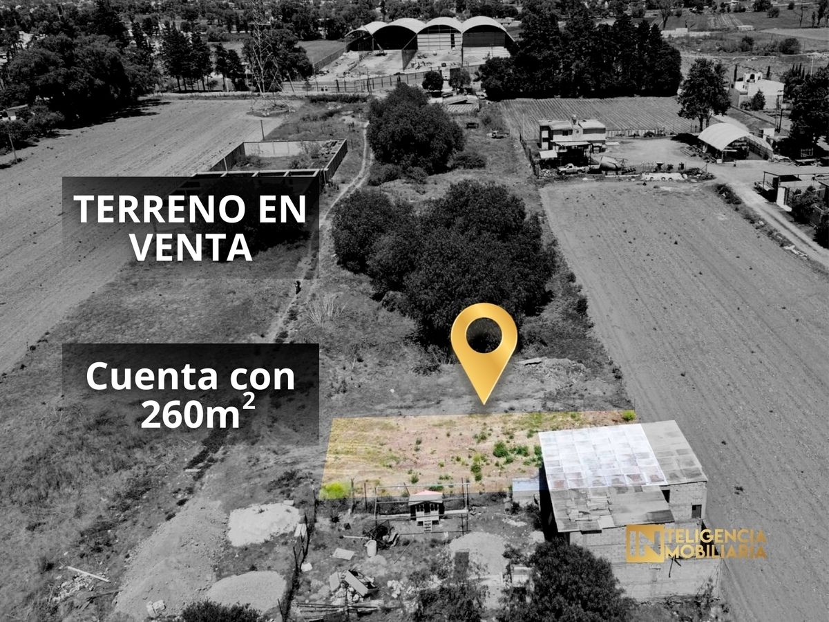Imagen 2 de 10