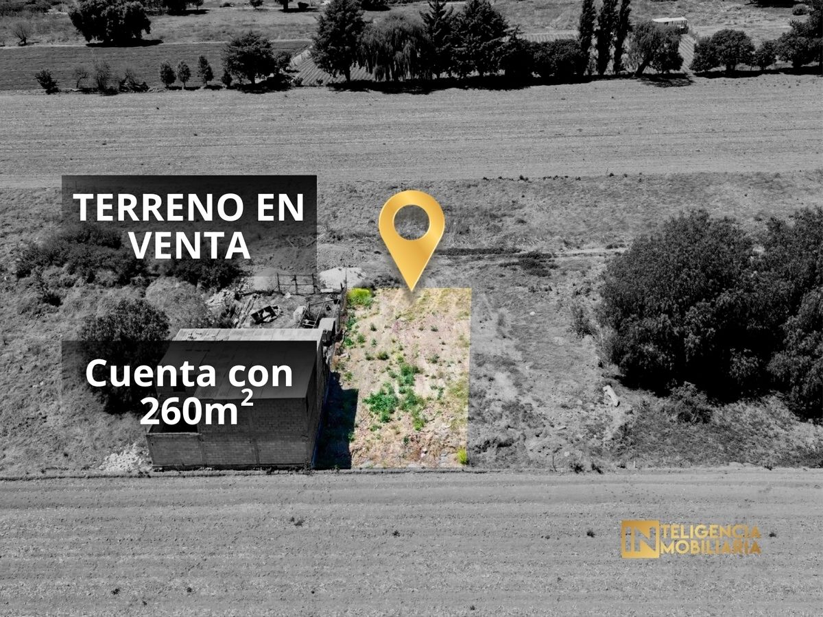 Imagen 1 de 10