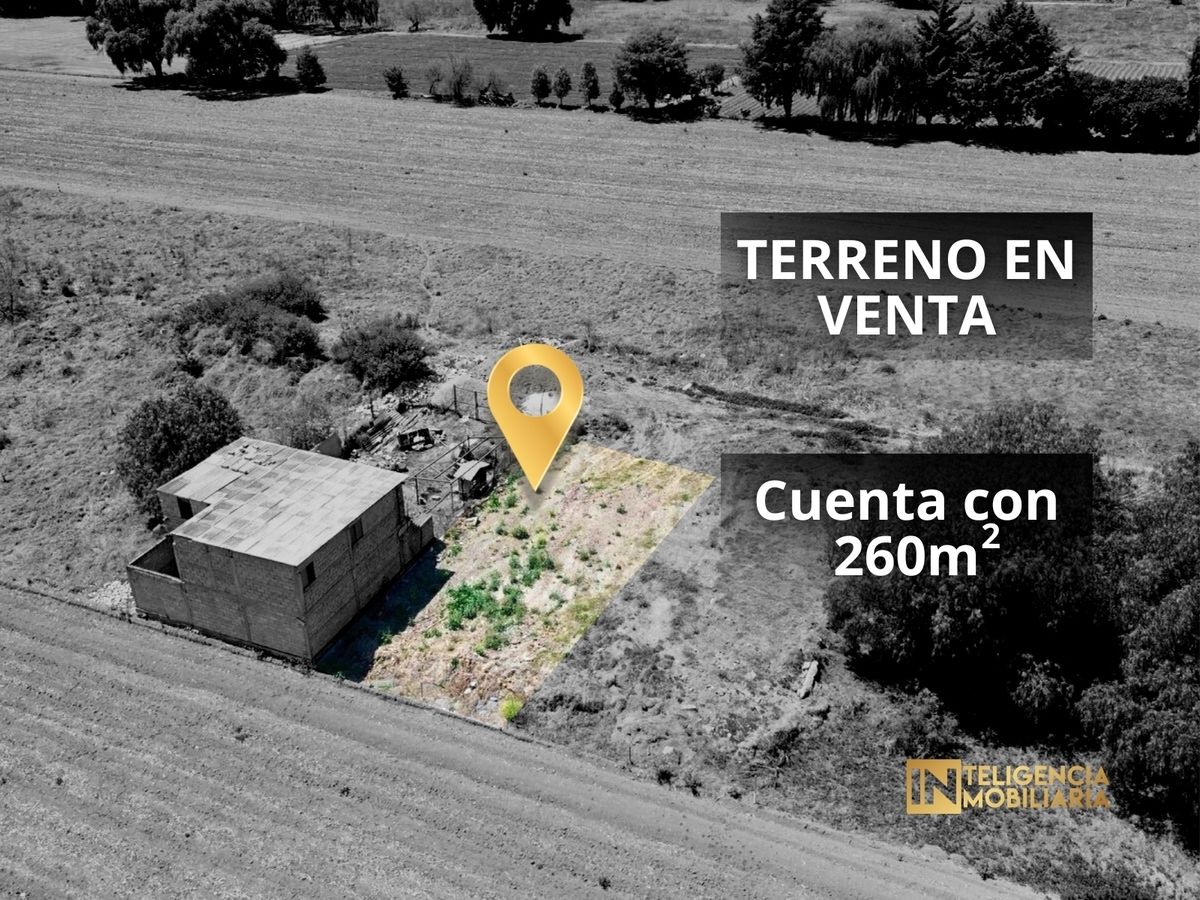 Imagen 3 de 10