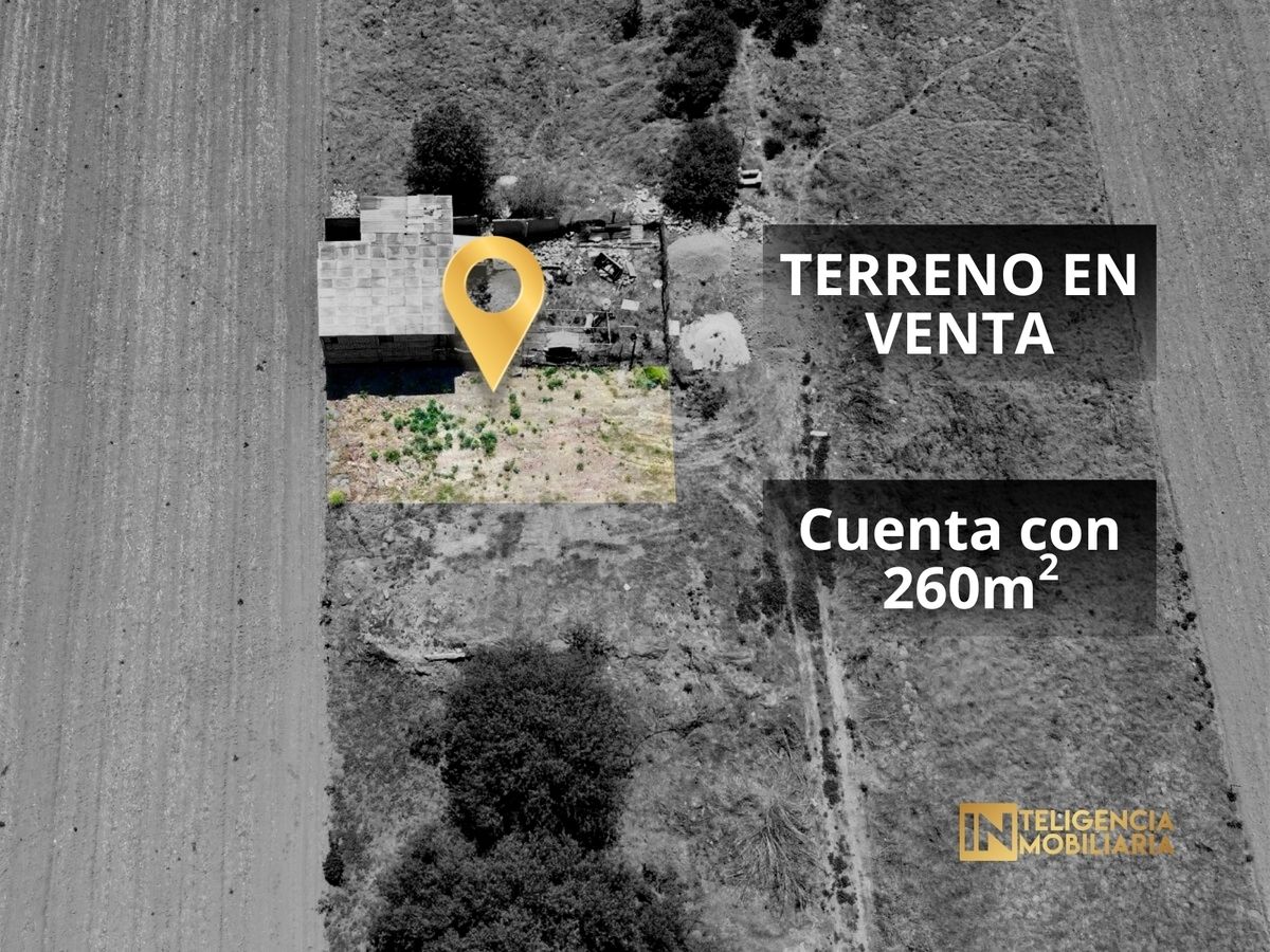 Imagen 5 de 10