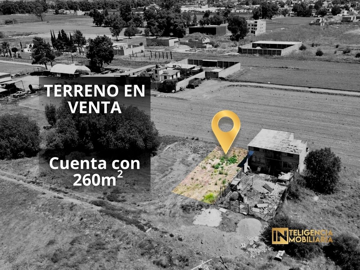 Imagen 4 de 10