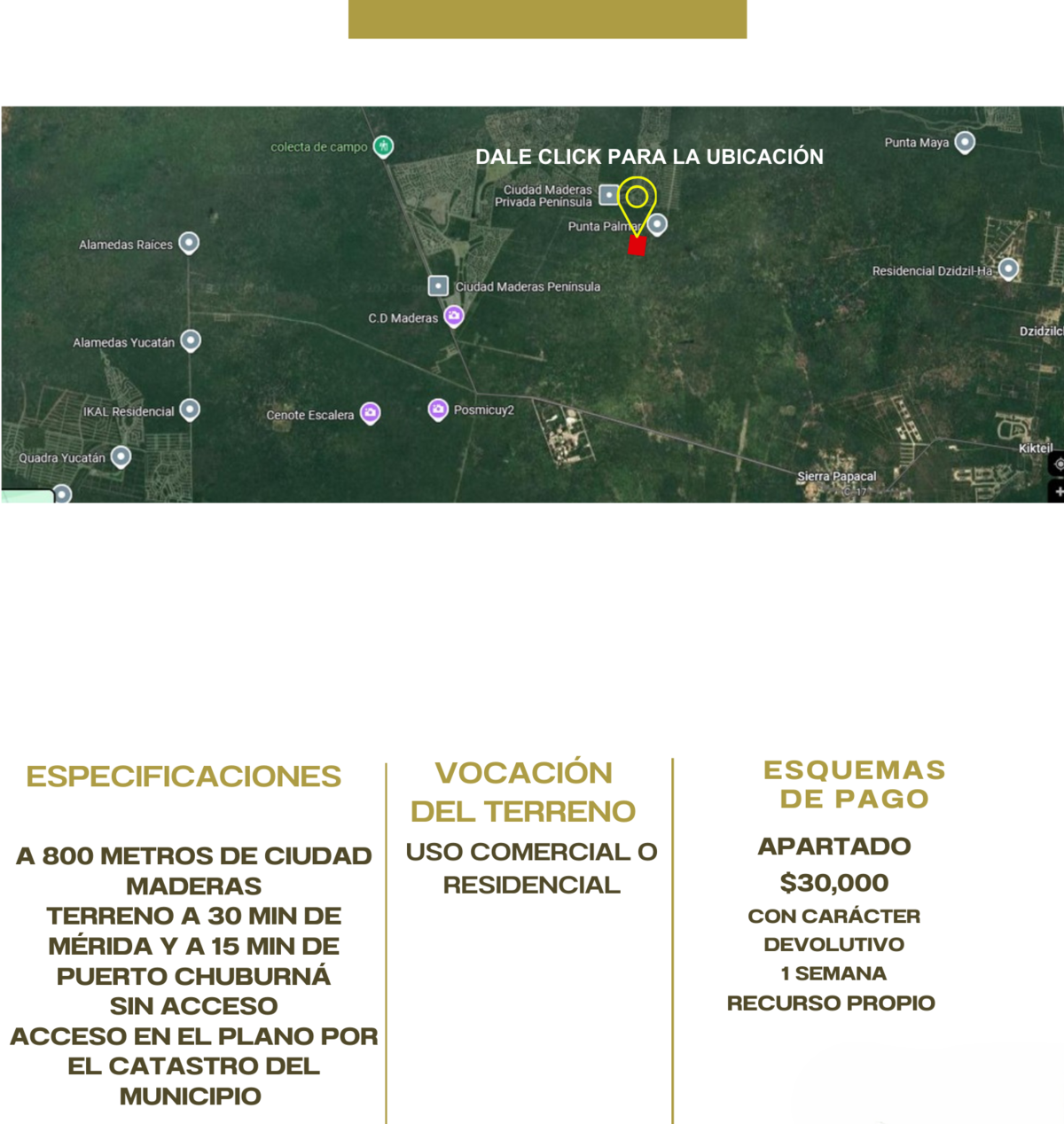 Terreno para Desarrolladores en Sierra Papacal - foto 2