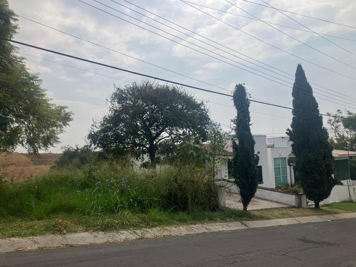 2 de 6