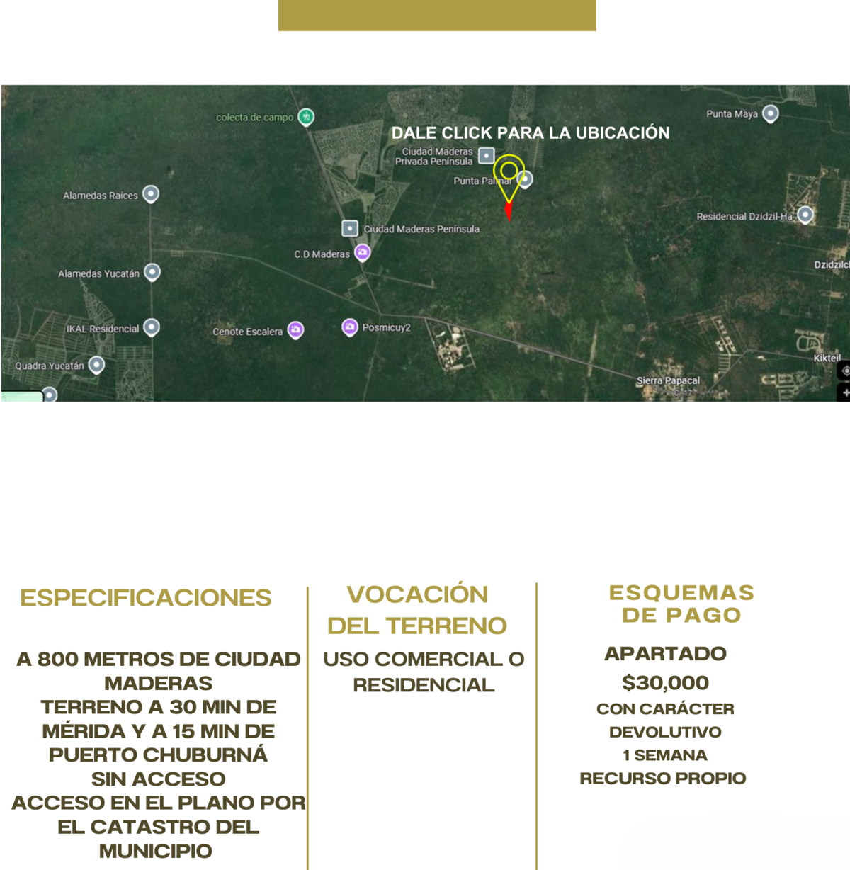 Terreno en Sierra Papacal - foto 2