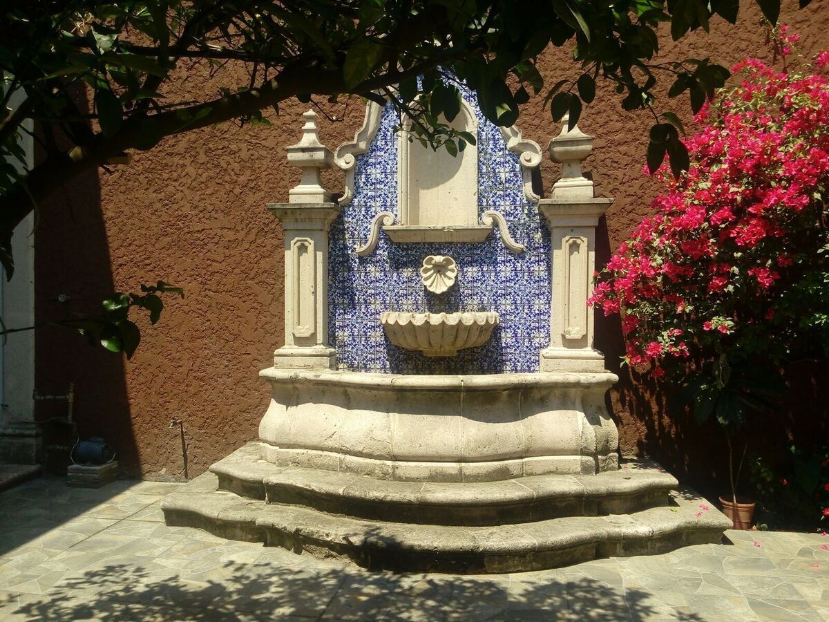Imagen 1 de 8