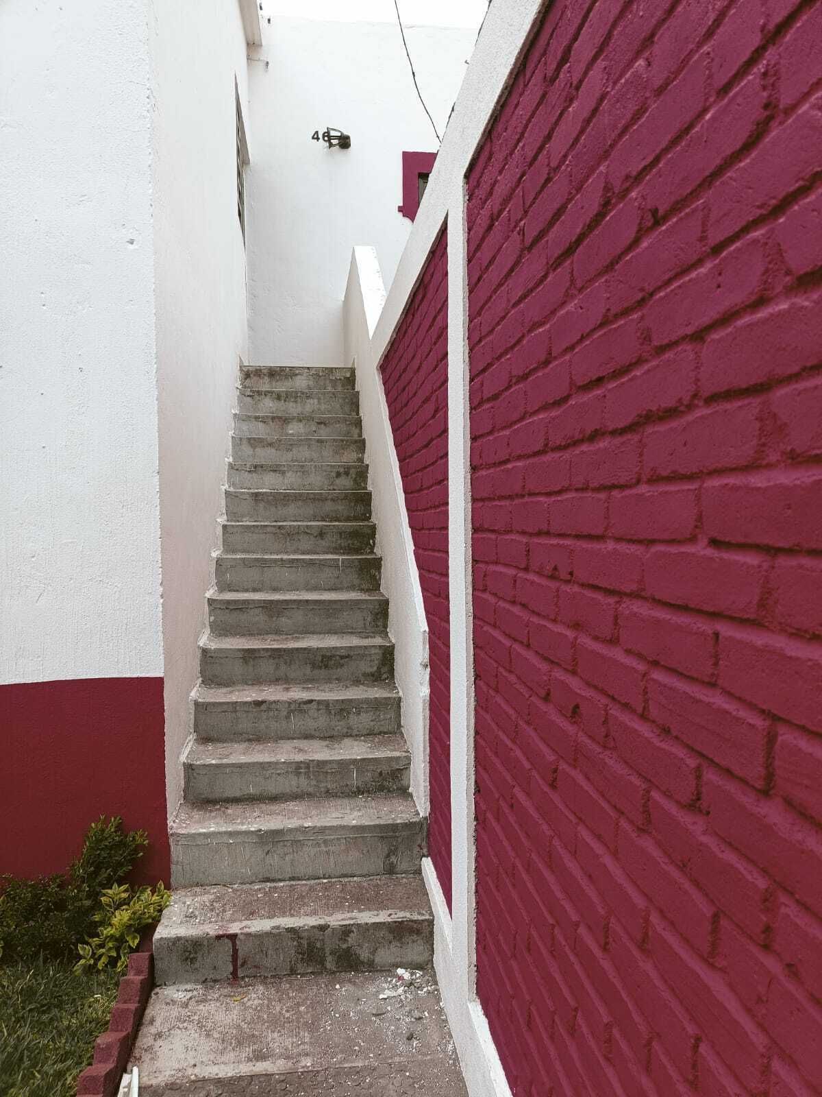 Imagen 4 de 7