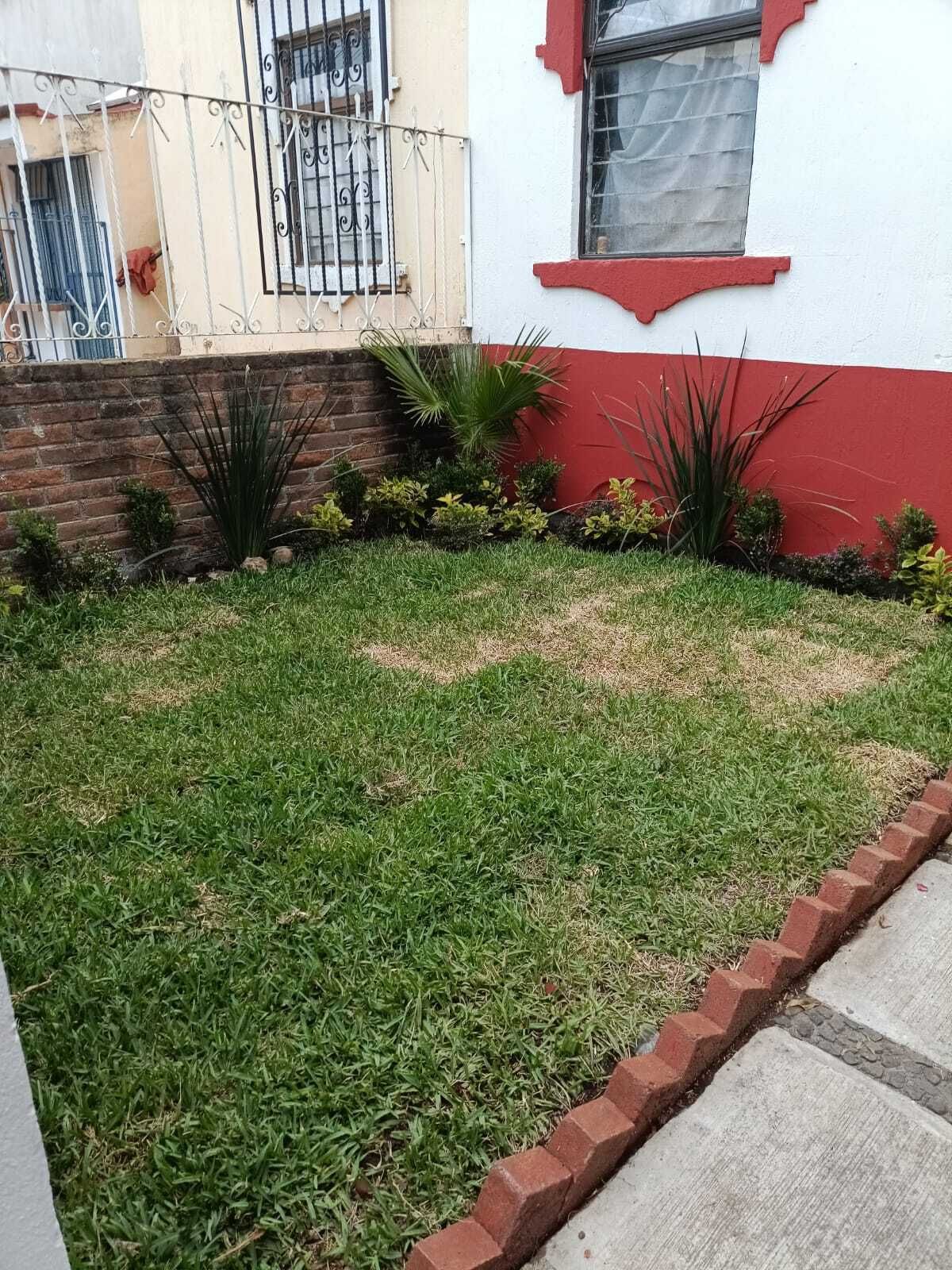 Imagen 5 de 7