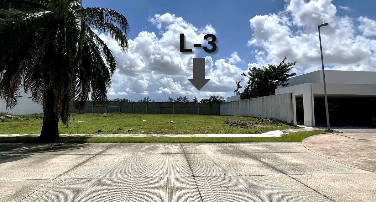 3 de 11