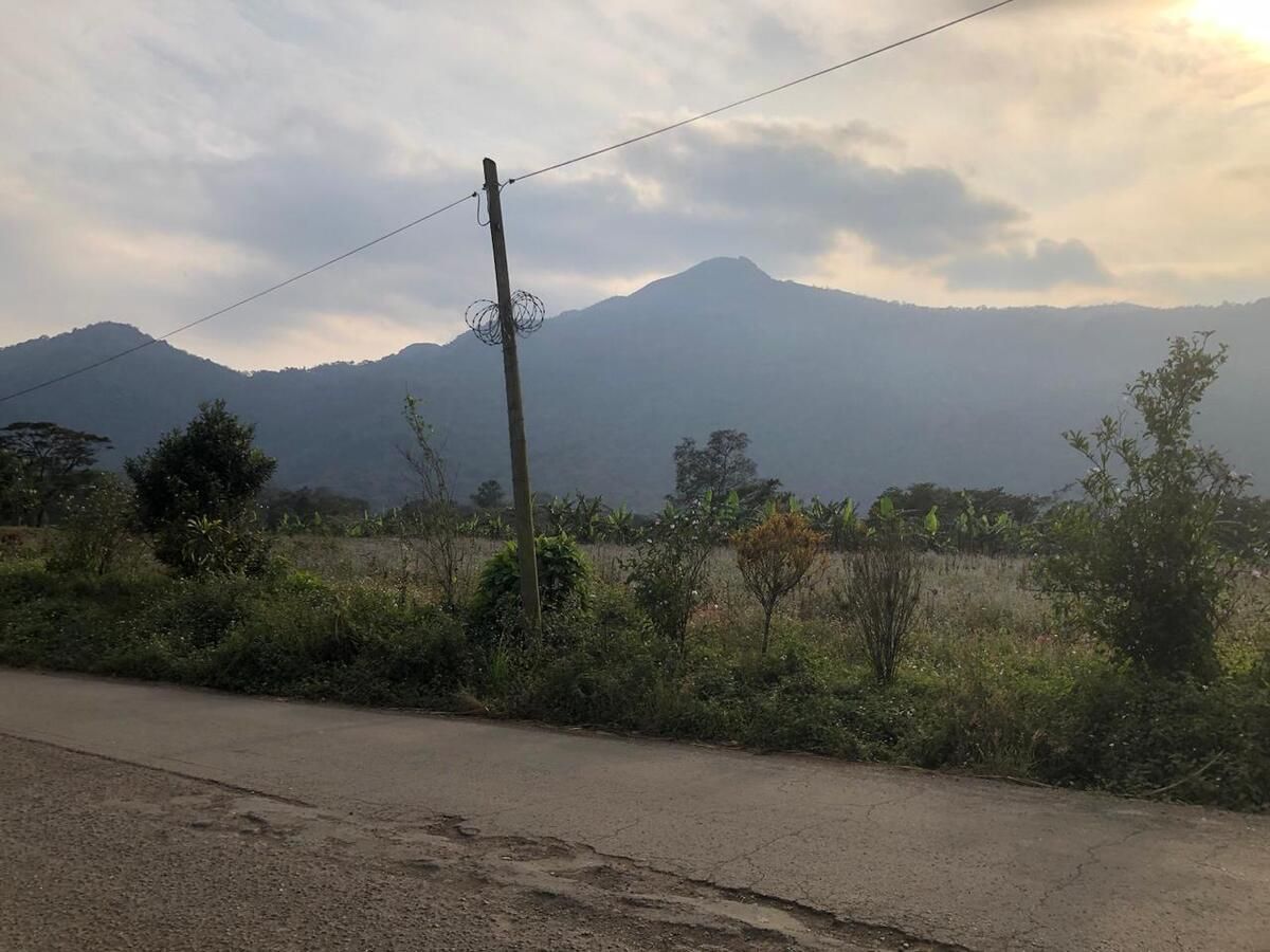 Carretera La Guadalupe/ Naranjal