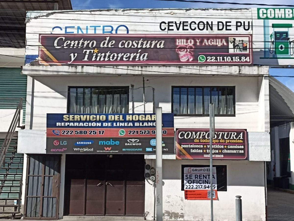 1 de 7