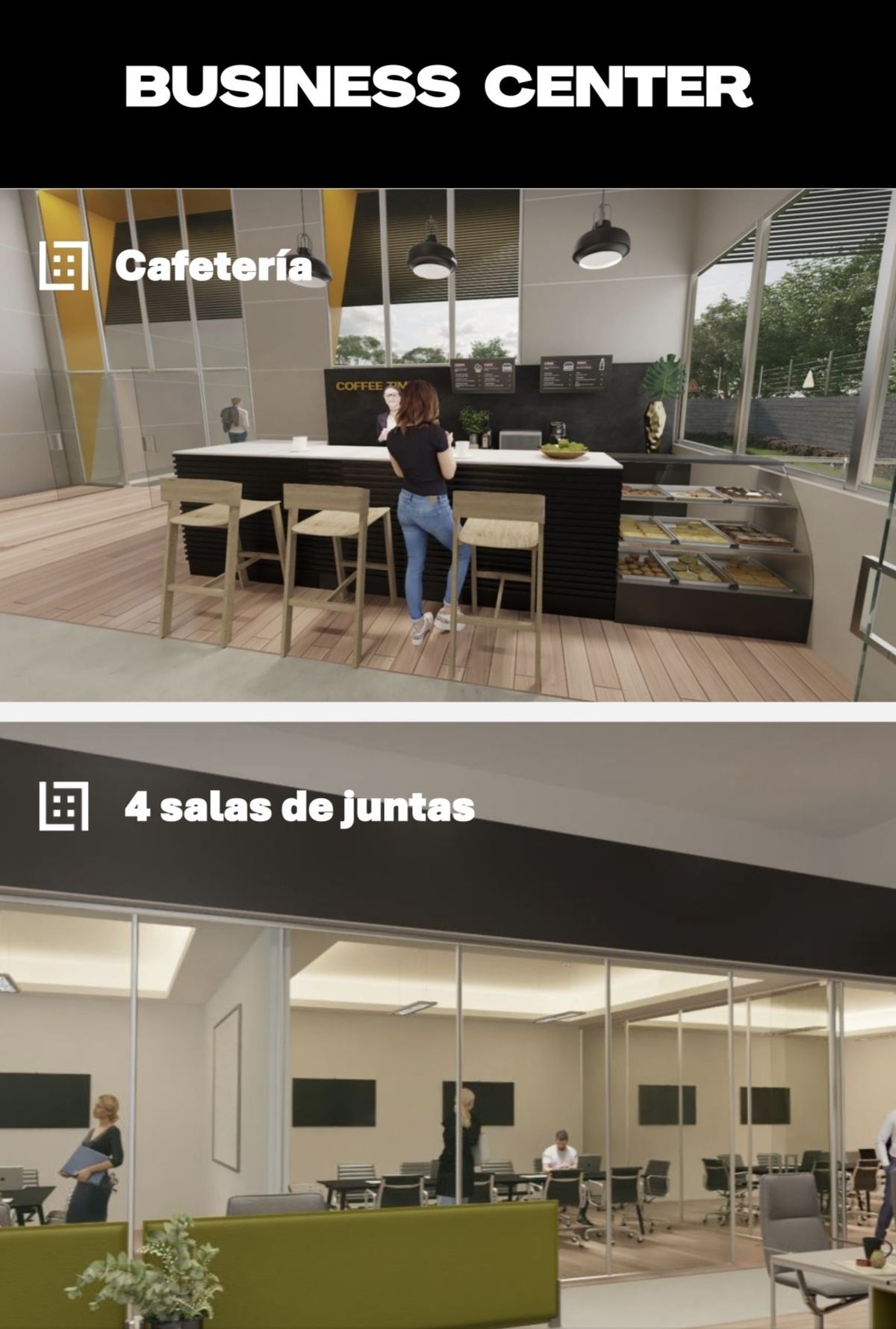 6 de 17