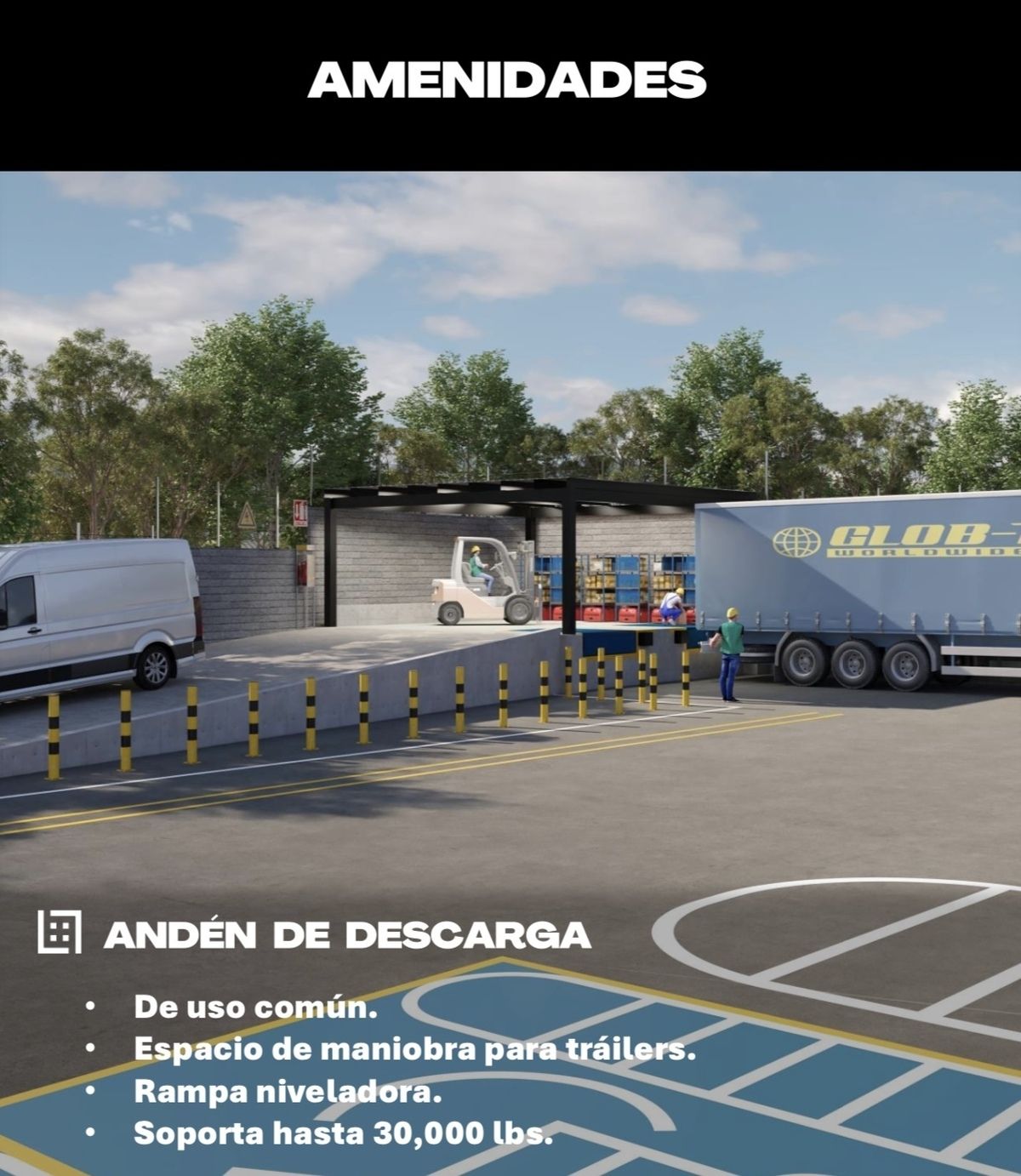 8 de 17