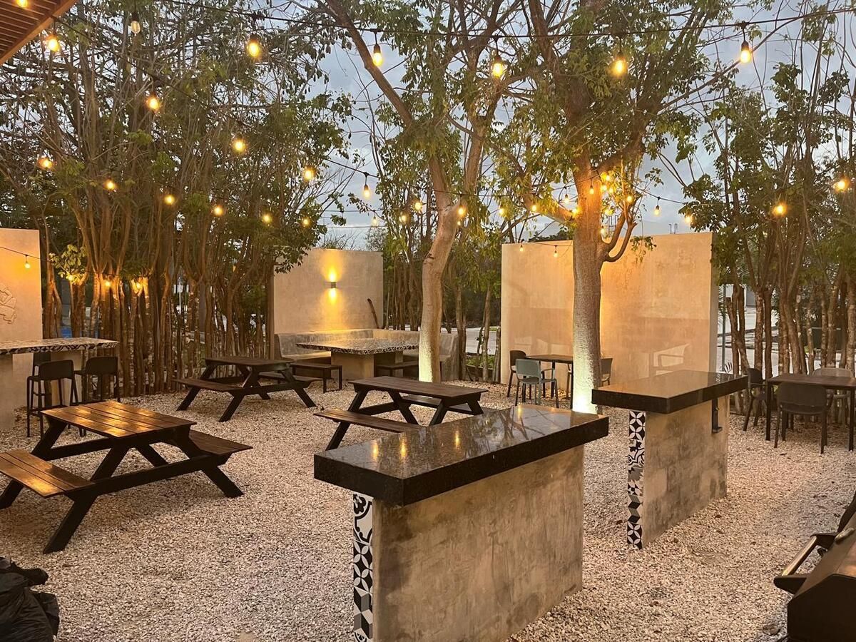 15 de 16: AREA SOCIAL