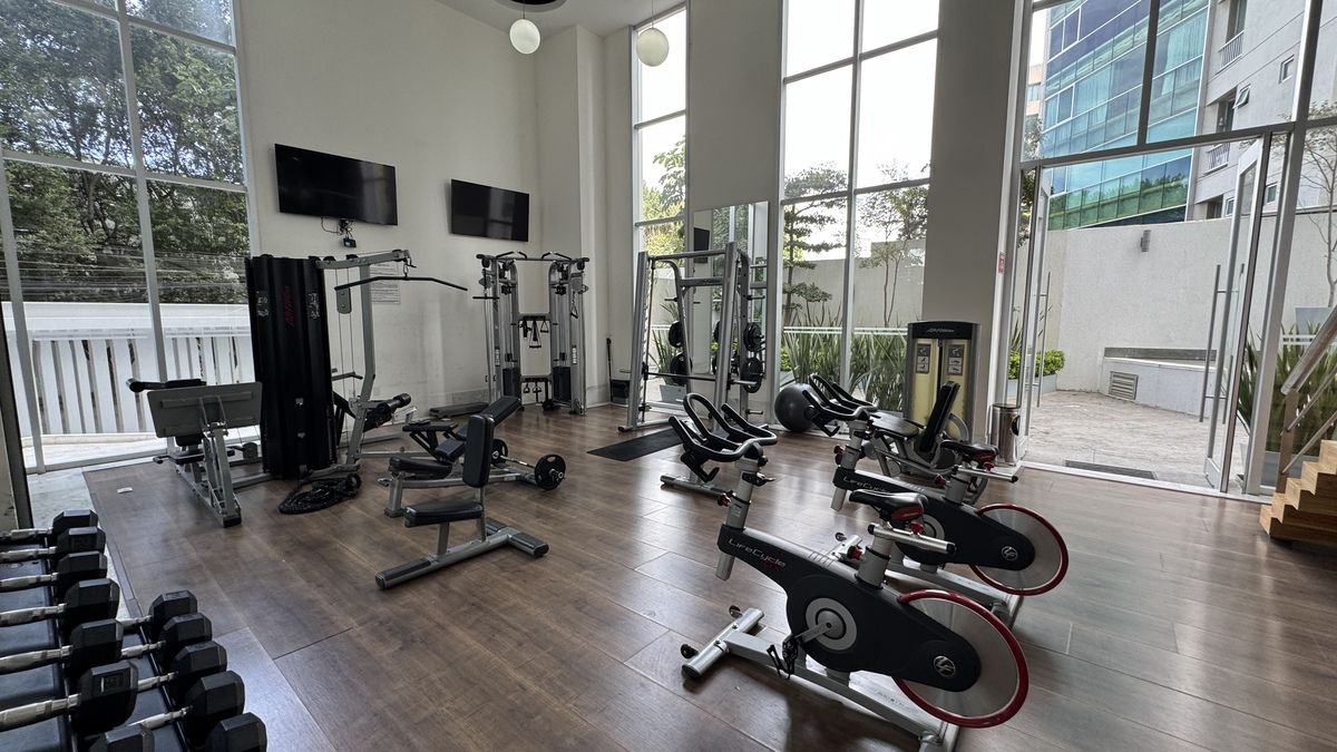 3 of 15: Gimnasio