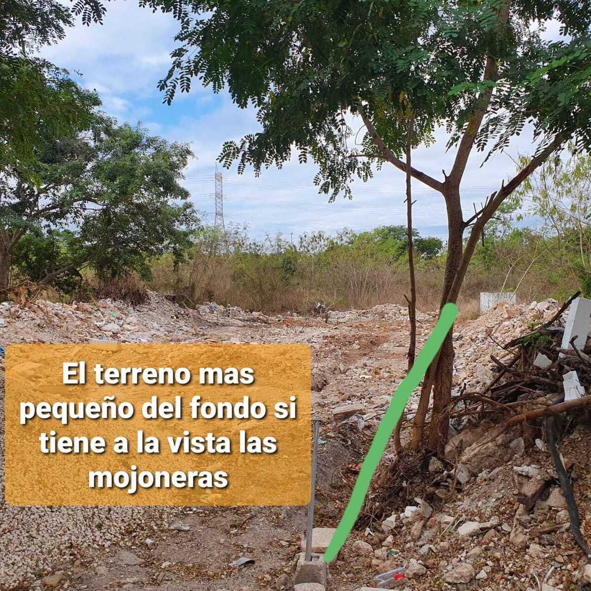 4 de 6