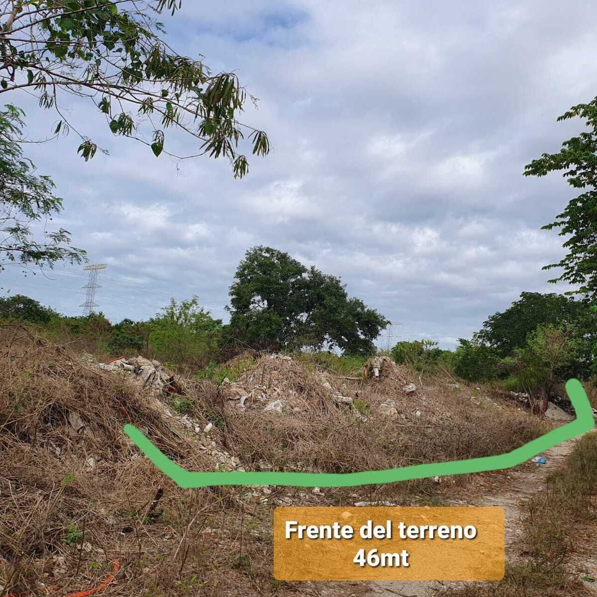5 de 6