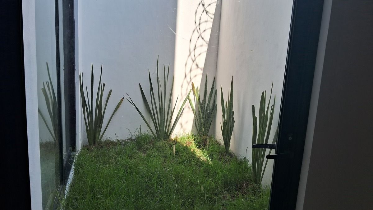 Jardín