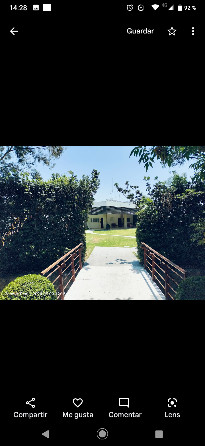 17 of 29