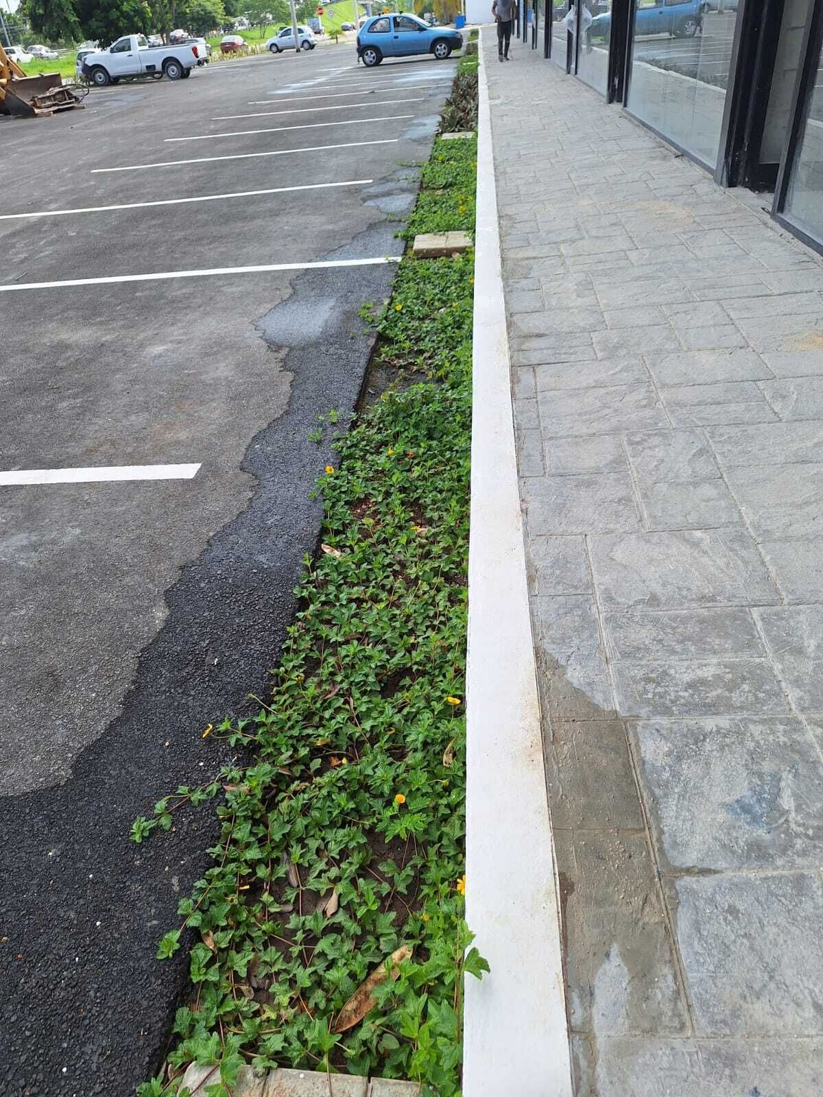 8 de 13