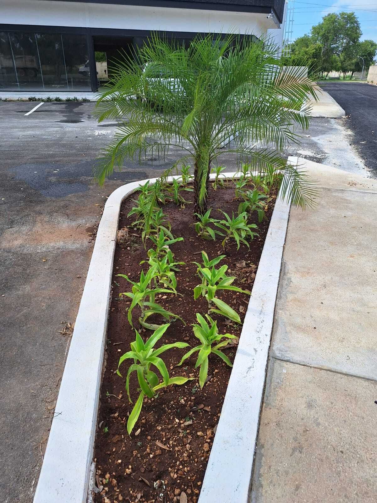 10 de 13