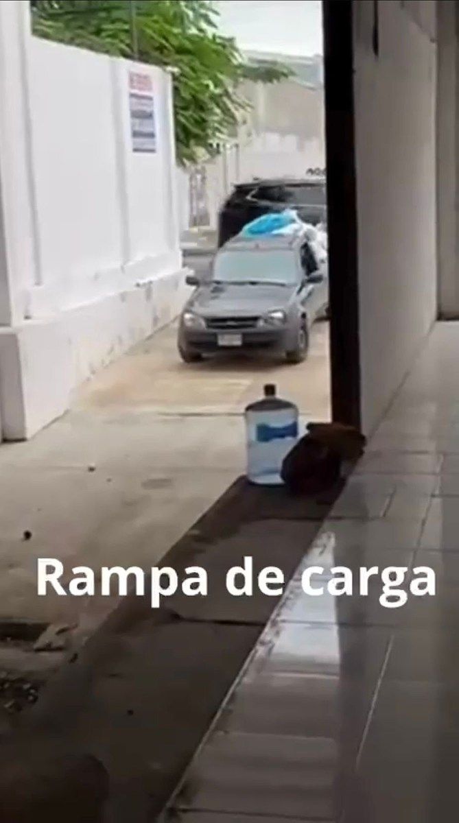 5 de 5