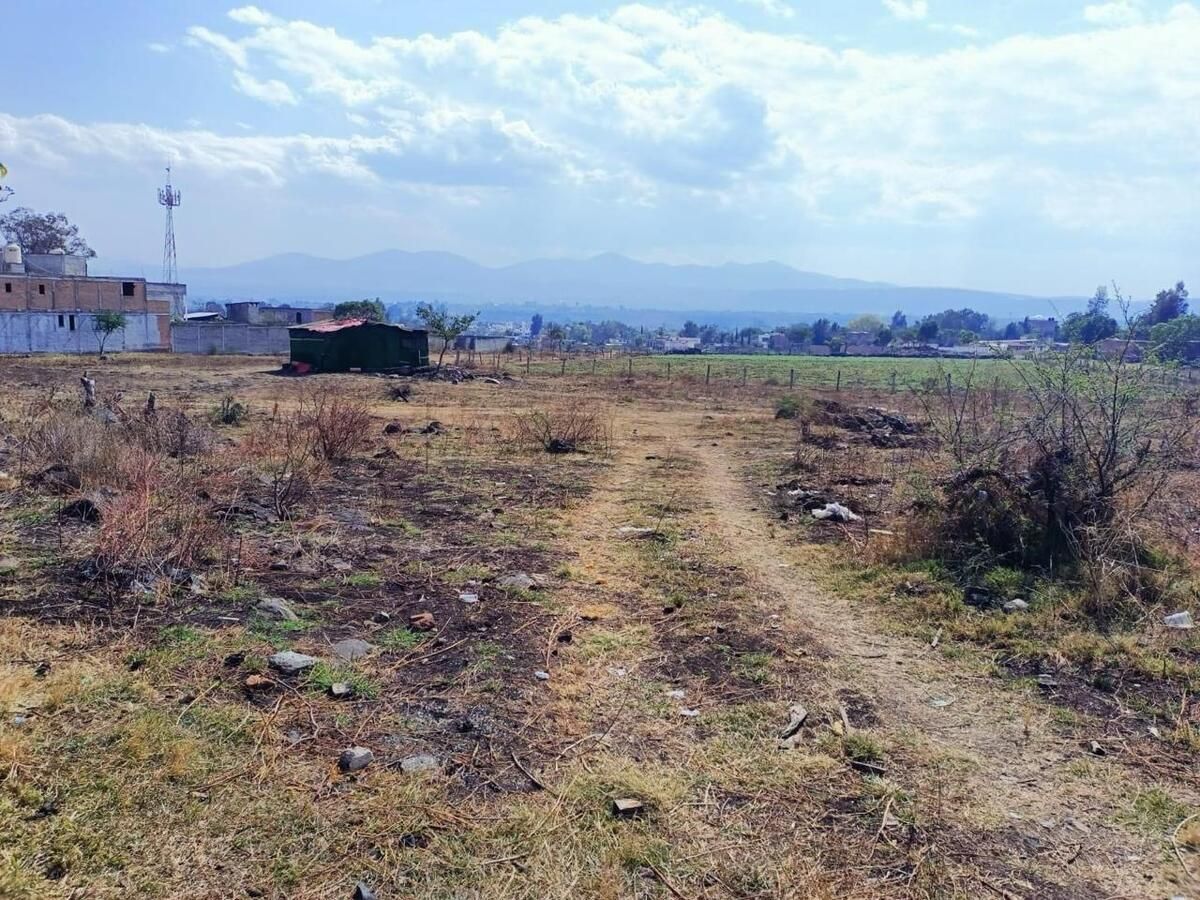 Imagen 2 de 2