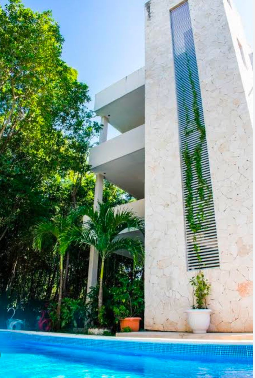 OPORTUNIDAD DE INVERSION CONDO HOTEL EL VIVERO TULUM - foto 3