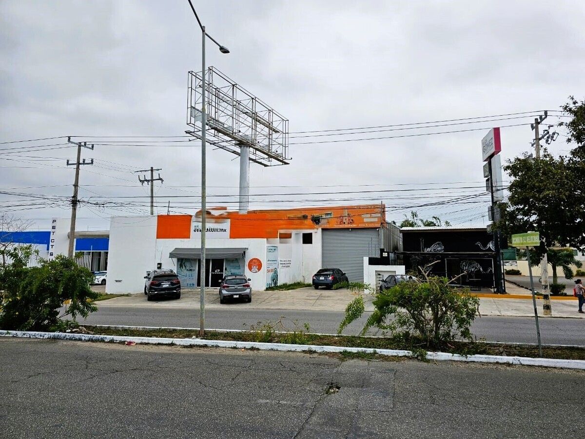 1 de 19