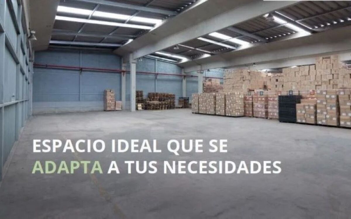 7 de 7