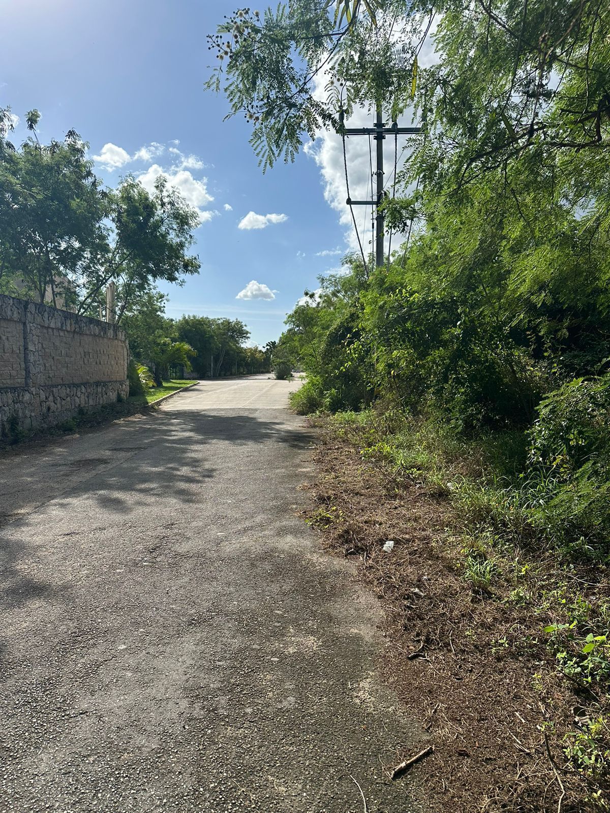 1 de 3