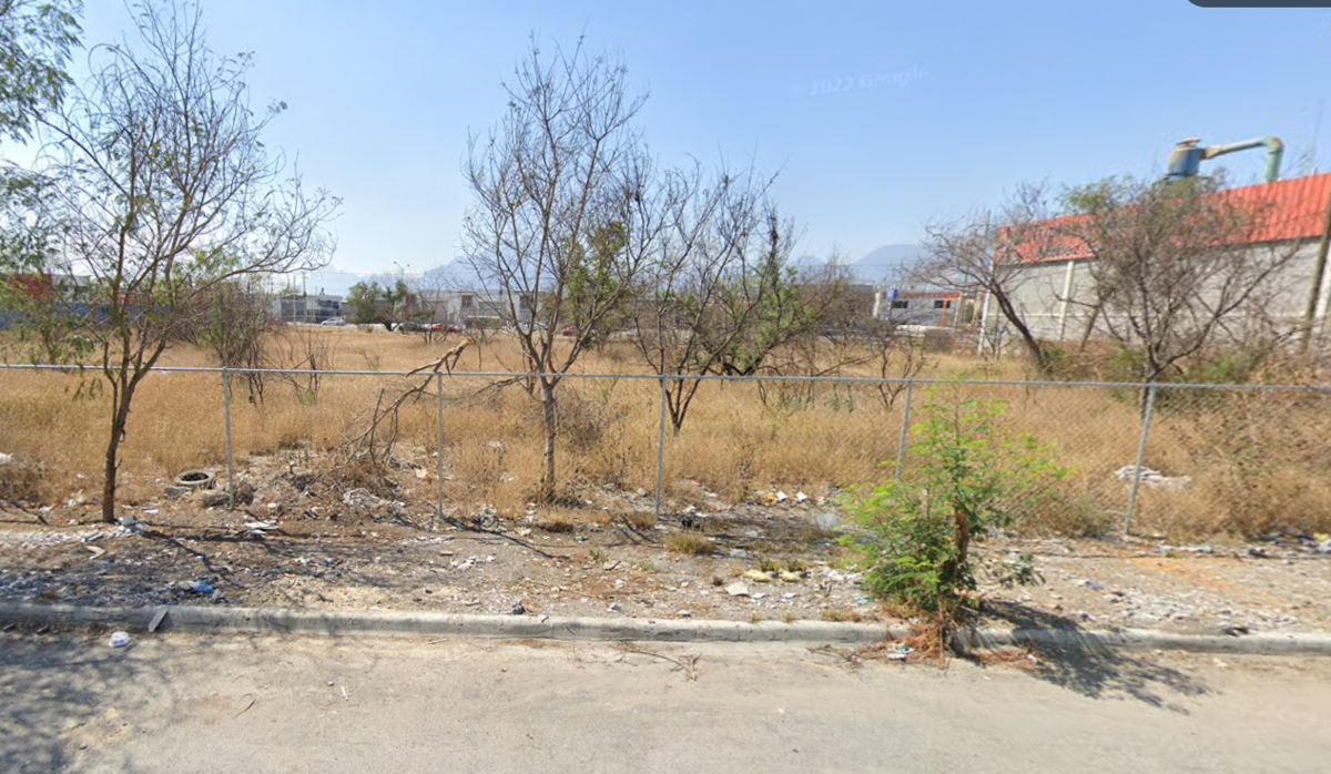 10 de 12: VISTA