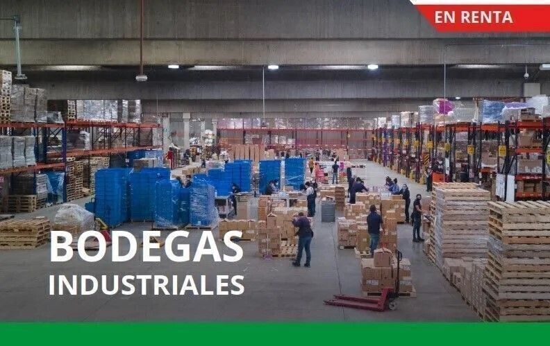 6 de 6
